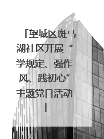 望城区斑马湖社区开展“学规定、强作风、践初心”主题党日活动