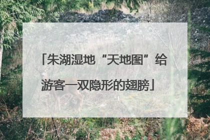 朱湖湿地“天地图”给游客一双隐形的翅膀