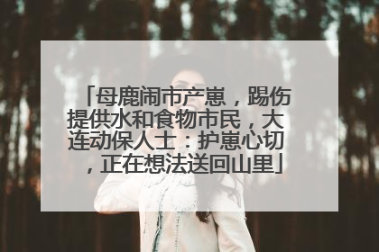 母鹿闹市产崽，踢伤提供水和食物市民，大连动保人士：护崽心切，正在想法送回山里