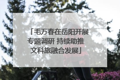 毛万春在岳阳开展专题调研 持续助推文科旅融合发展