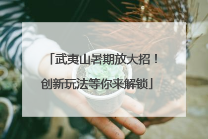 武夷山暑期放大招！创新玩法等你来解锁