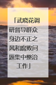 武晓花调研督导群众身边不正之风和腐败问题集中整治工作