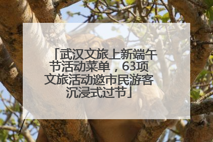 武汉文旅上新端午节活动菜单，63项文旅活动邀市民游客沉浸式过节