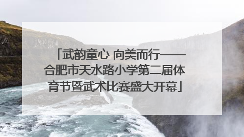 武韵童心 向美而行——合肥市天水路小学第二届体育节暨武术比赛盛大开幕