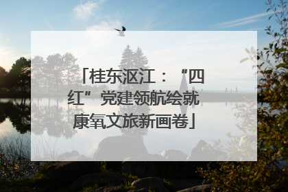 桂东沤江：“四红”党建领航绘就康氧文旅新画卷