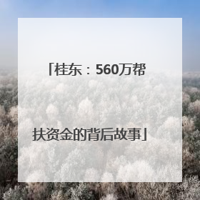 桂东：560万帮扶资金的背后故事