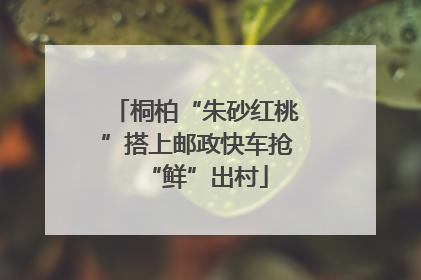 桐柏“朱砂红桃”搭上邮政快车抢“鲜”出村