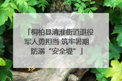 桐柏县清淮街道退役军人勇担当 筑牢暑期防溺“安全堤”