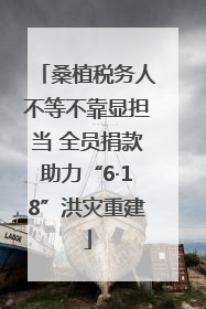 桑植税务人不等不靠显担当 全员捐款助力“6·18”洪灾重建