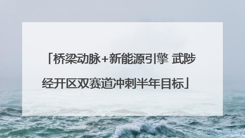 桥梁动脉+新能源引擎 武陟经开区双赛道冲刺半年目标