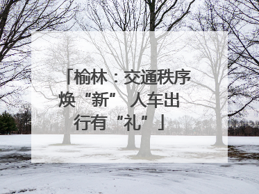 榆林：交通秩序焕“新” 人车出行有“礼”