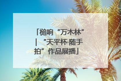 槌响“万木林”｜“天平杯·随手拍”作品展播