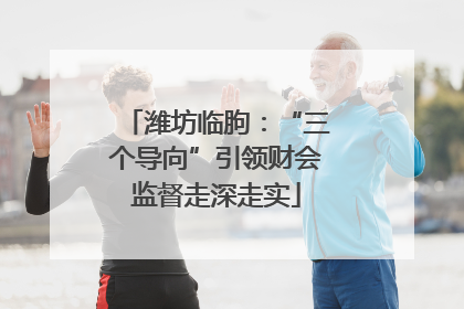潍坊临朐：“三个导向”引领财会监督走深走实