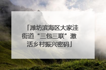 潍坊滨海区大家洼街道“三包三联”激活乡村振兴密码