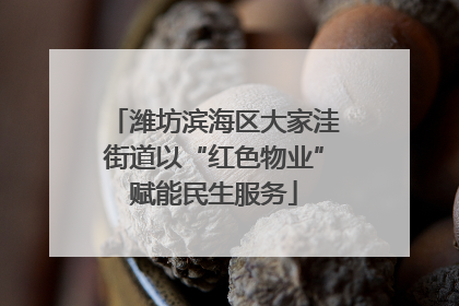潍坊滨海区大家洼街道以“红色物业”赋能民生服务