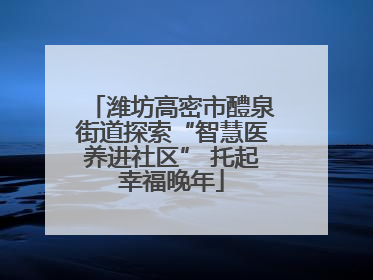 潍坊高密市醴泉街道探索“智慧医养进社区” 托起幸福晚年