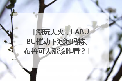 潮玩大火，LABUBU催动下泡泡玛特、布鲁可大涨该咋看？