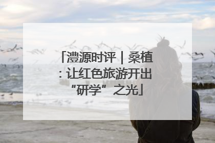 澧源时评｜桑植：让红色旅游开出“研学”之光