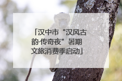 汉中市“汉风古韵·传奇夜”暑期文旅消费季启动