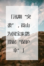 汛期“突袭”，崀山为国宝朱鹮撑起“保护伞”