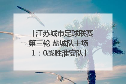 江苏城市足球联赛第三轮 盐城队主场1：0战胜淮安队