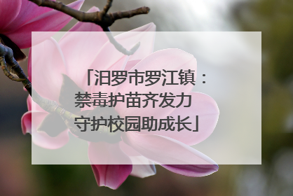汨罗市罗江镇：禁毒护苗齐发力 守护校园助成长