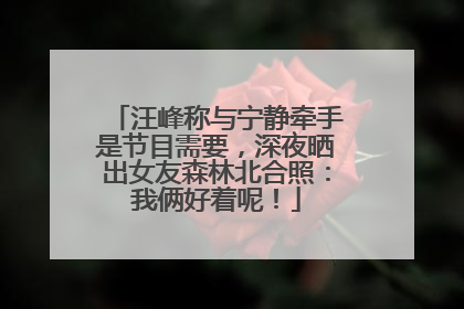 汪峰称与宁静牵手是节目需要，深夜晒出女友森林北合照：我俩好着呢！