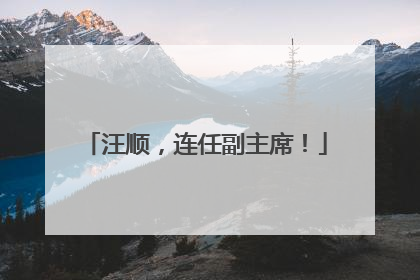 汪顺，连任副主席！