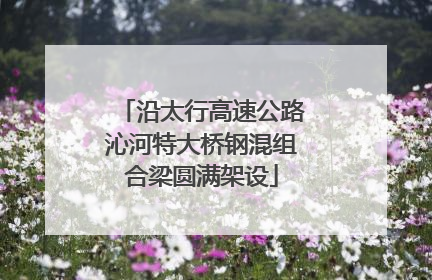 沿太行高速公路沁河特大桥钢混组合梁圆满架设