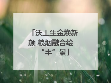 沃土生金焕新颜 粮烟融合绘“丰”景