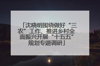 沈晓明围绕做好“三农”工作、推进乡村全面振兴开展“十五五”规划专题调研
