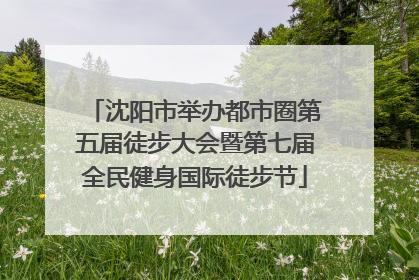 沈阳市举办都市圈第五届徒步大会暨第七届全民健身国际徒步节