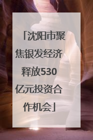 沈阳市聚焦银发经济释放530亿元投资合作机会