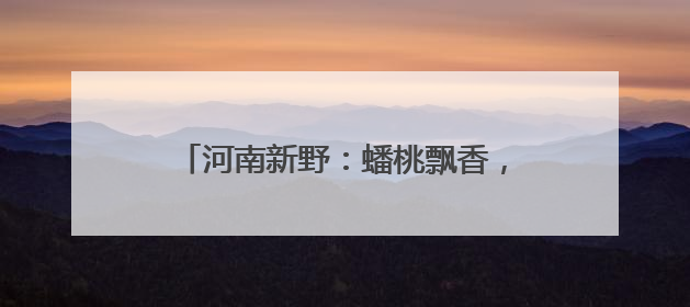 河南新野：蟠桃飘香，绘就乡村振兴新画卷