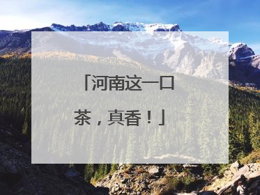 河南这一口茶，真香！