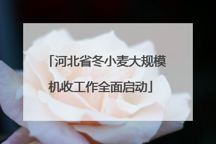 河北省冬小麦大规模机收工作全面启动