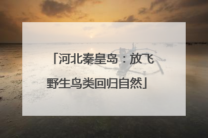 河北秦皇岛：放飞野生鸟类回归自然