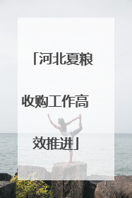 河北夏粮收购工作高效推进