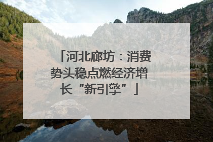河北廊坊：消费势头稳点燃经济增长“新引擎”