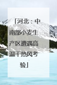 河北：中南部小麦生产区遭遇高温干热风考验