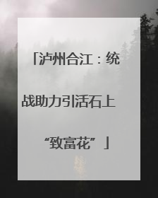 泸州合江：统战助力引活石上“致富花”