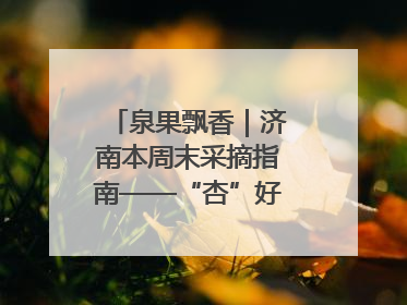 泉果飘香｜济南本周末采摘指南——“杏”好遇见你！