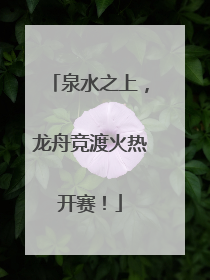 泉水之上，龙舟竞渡火热开赛！