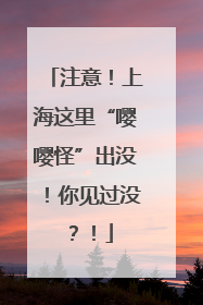 注意！上海这里“嘤嘤怪”出没！你见过没？！