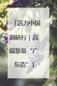 活力中国调研行｜高端装备“广东造”