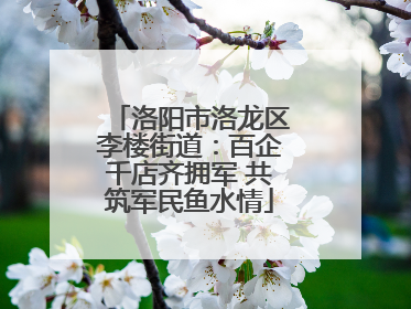 洛阳市洛龙区李楼街道：百企千店齐拥军 共筑军民鱼水情