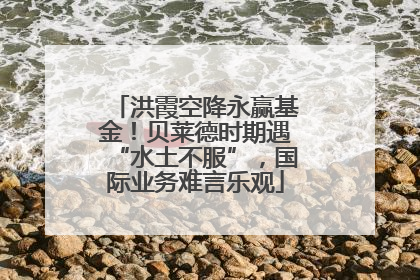 洪霞空降永赢基金！贝莱德时期遇“水土不服”，国际业务难言乐观