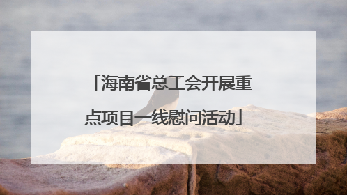 海南省总工会开展重点项目一线慰问活动