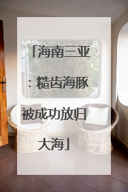海南三亚：糙齿海豚被成功放归大海