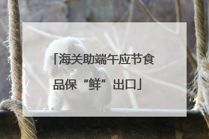 海关助端午应节食品保“鲜”出口